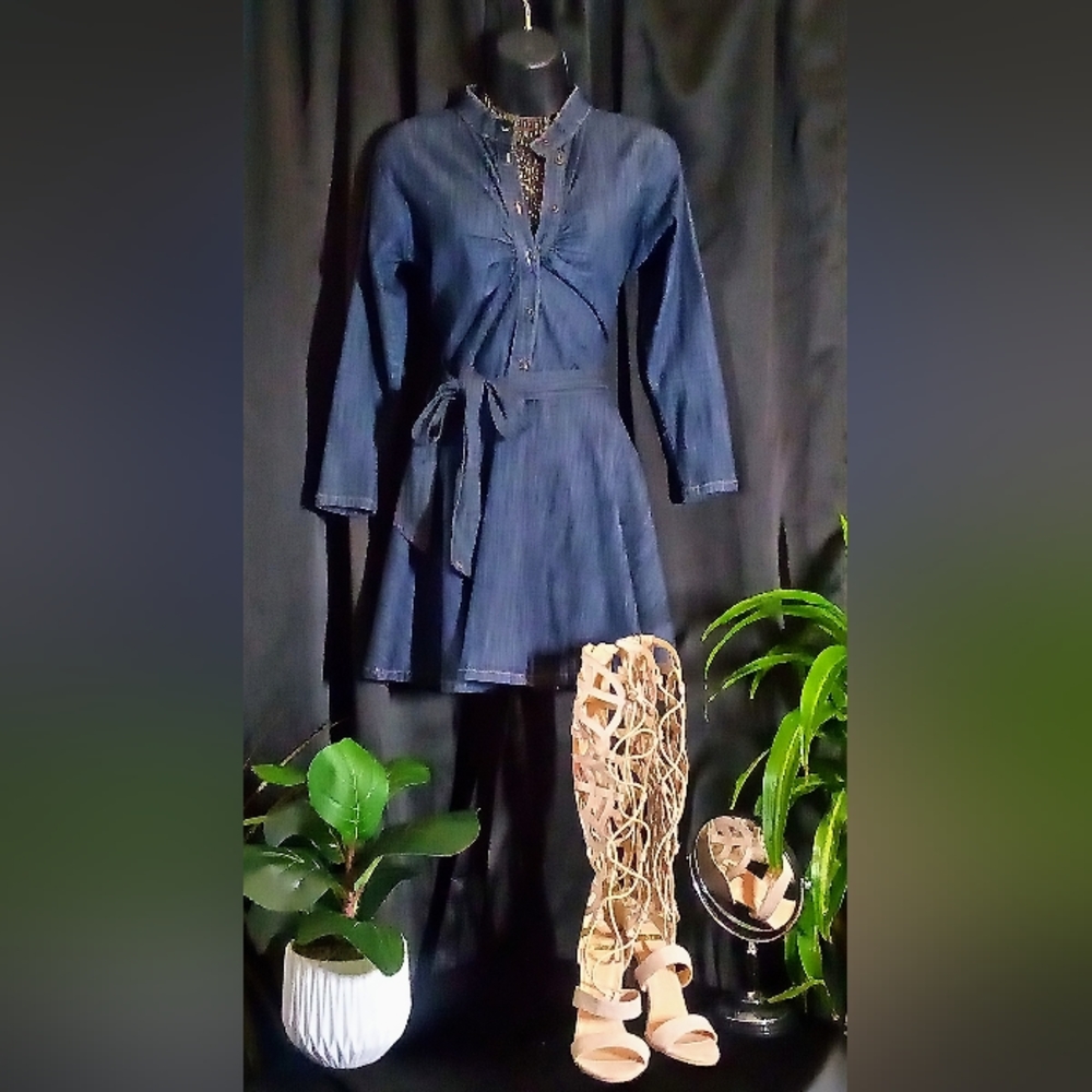 Denim Casual Dress Rodeo Bodice Long Sleeve Circle Skater Aesthetic Small